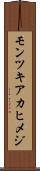 モンツキアカヒメジ Scroll