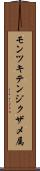 モンツキテンジクザメ属 Scroll