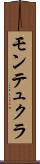 モンテュクラ Scroll