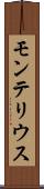 モンテリウス Scroll