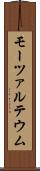 モーツァルテウム Scroll