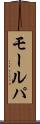 モールパ Scroll