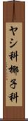 ヤシ科 Scroll