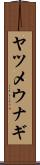 ヤツメウナギ Scroll