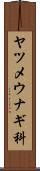 ヤツメウナギ科 Scroll