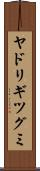 ヤドリギツグミ Scroll