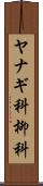 ヤナギ科 Scroll