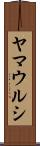 ヤマウルシ Scroll