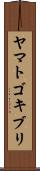 ヤマトゴキブリ Scroll