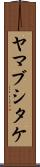 ヤマブシタケ Scroll