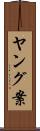 ヤング案 Scroll