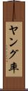 ヤング率 Scroll