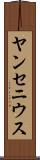 ヤンセニウス Scroll