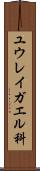 ユウレイガエル科 Scroll