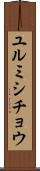 ユルミシチョウ Scroll