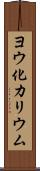 ヨウ化カリウム Scroll