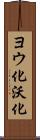 ヨウ化 Scroll
