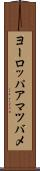 ヨーロッパアマツバメ Scroll