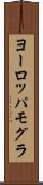 ヨーロッパモグラ Scroll