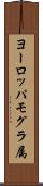 ヨーロッパモグラ属 Scroll