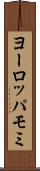 ヨーロッパモミ Scroll