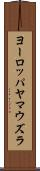ヨーロッパヤマウズラ Scroll