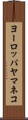 ヨーロッパヤマネコ Scroll