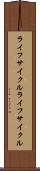 ライフサイクル Scroll