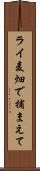 ライ麦畑で捕まえて Scroll