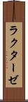 ラクターゼ Scroll