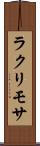 ラクリモサ Scroll