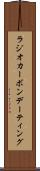 ラジオカーボンデーティング Scroll