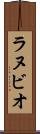 ラヌビオ Scroll