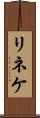 リネケ Scroll
