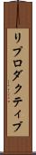 リプロダクティブ Scroll