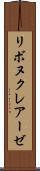 リボヌクレアーゼ Scroll