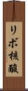 リボ核酸 Scroll