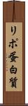 リポ蛋白質 Scroll