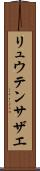 リュウテンサザエ Scroll