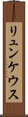 リュンケウス Scroll