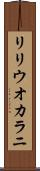 リリウオカラニ Scroll