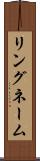 リングネーム Scroll