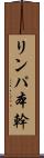 リンパ本幹 Scroll