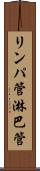 リンパ管 Scroll