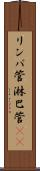 リンパ管 Scroll
