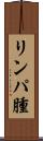 リンパ腫 Scroll