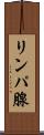 リンパ腺 Scroll