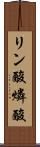 リン酸 Scroll