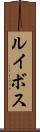 ルイボス Scroll