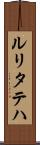 ルリタテハ Scroll
